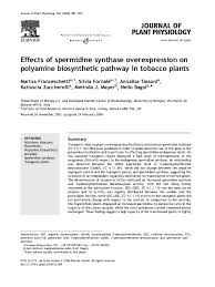 Using a synthetic deoxyoligonucleotide mixture. Pdf Effects Of Spermidine Synthase Overexpression On Polyamine Biosynthetic Pathway In Tobacco Plants Katiuscia Zuccherelli And Annalisa Tassoni Academia Edu