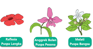 18 Gambar Bunga Mawar Mozaik Pembelajaran 3 Subtema 4 Pertumbuhan Dan Perkembangan Download Kamar Tidur Cina Rose Desain Buatan Tangan Gambar Mosaik Bunga