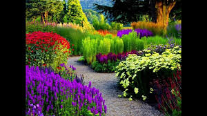 They are bright, desired, pleasantly smell. Most Beautiful Flowers Garden In The World Youtube