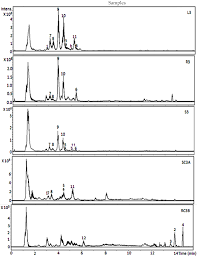 Image result for Justicia tenella