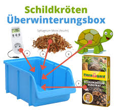 Verlieren schildkröten während der überwinterung im kühlschrank mehr als 10% an gewicht, müssen sie umgehend ausgewintert werden. Schildkroten Kuhlschrank Zur Uberwinterung Winterstarre Ganz Einfach