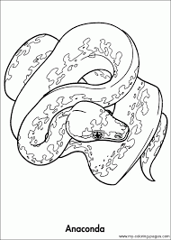 Published on august 30, 2012 available in: Animals Of The Rainforest Coloring Pages Rainforest Animals Animal Coloring Pages Animal Coloring Books