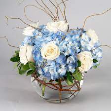 Blue Grace Morning Glory Flower Shop