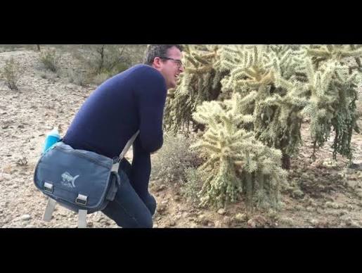 When the cholla cactus attacks - YouTube