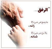 الدعاء في الوتر Beautiful Arabic Words Arabic Words Words