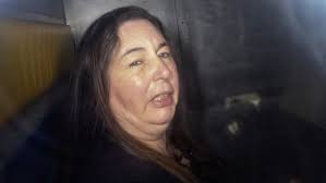 Belted Galloway Cattle and Beef Wellington