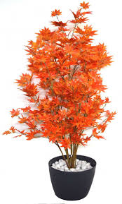 There was one in front of my old house and it was just so pretty. 150 Cm Tall Decorative Artificial Japanese Maple Plant Without Pot Artificial Plants Artificial Flowers Plants