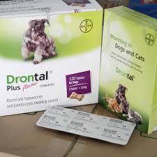 Mau tanya, kalo anak baru berumur 18 bulan bagusnya dikasih obat cacing apa yah? Drontal Plus Obat Cacing Untuk Anjing Shopee Indonesia