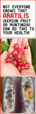 Not Everyone Knows That Aratilis Kerson Fruit Or Muntingia Can Do This To Your Health Health Healthy Soup Recipes Everyone Knows