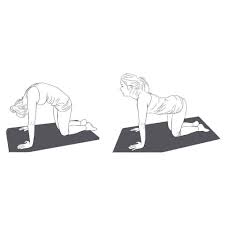 Epingle Sur Sante