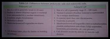 What's the difference between eukaryotic cell and prokaryotic cell? Differentiate Between The Following A Prokaryotic And Eukaryotic Cells B Plant Cell And Animal Cell C Plasma Science The Fundamental Unit Of Life 12675923 Meritnation Com