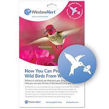 Move houseplants away from windows. Prevent Bird Strikes The Audubon Shop Birder Supplies Birdwatching Supplies Madison Ct