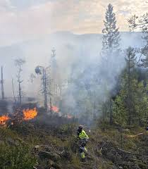 Jun 04, 2021 · skogbrann på sotra: Stor Brannutrykning Til Skogbrann Reavisa