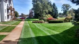 Full Service Lawn Care