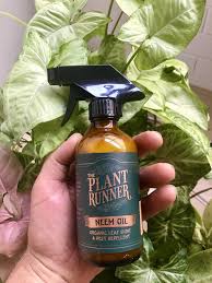 Neem Oil Leaf Shine Neem Oil Neem Organic Pest