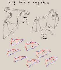 Bat wings are modified tetrapod forelimbs. Tired Of Bad Fantasy Wing Design My Previous Post Discussed The Musculature Of