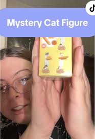 Cats in The Box Tokyo