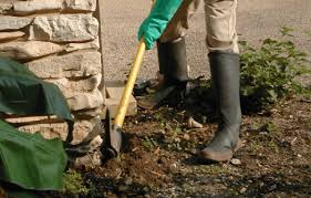 If you need environmental services for your home or business in san antonio, texas, abc home and commercial services can do it all. Termite Control San Antonio Tx Abc Home Commercial Services