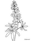 718 x 957 gif 14 кб. Flowers Coloring Pages