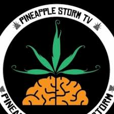 Confira agora algumas frases das letras do poesia acústica. Pineapple Vagalume