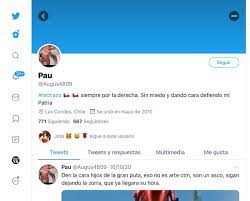 Santiago, maipú y talca retroceden a cuarentena: Enemigo Implacable Renunciapinera On Twitter Aqui Paula Narvaez Orrego Vean El Tatuaje En Su Brazo En La Foto De Perfil