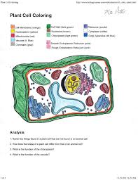Plant Cell Coloring Key 0 On Plant Cell Coloring Key Animal Cells Worksheet Plant Cell Cell Membrane Coloring Worksheet