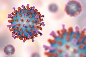 In theory, hepa filters can filter even the microscopic particles of the coronavirus although currently there are no studies to prove it. Do Hepa Air Purifiers Filter Out The Covid 19 Virus Vaniman