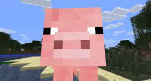 Pin On Minecraft