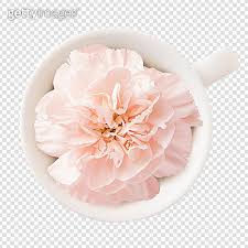 Pinpng.com collects million of free transparent png images, cliparts and icons. íŒŒì›Œí¬ì¸íŠ¸ ì´ë¯¸ì§€ Png ëˆ„ë¼ ì»·ì•„ì›ƒ ì˜¤ë¸Œì íŠ¸ ë¬˜ì‚¬ ìŠ¤ìŠ¹ì˜ë‚  ì¹´ë„¤ì´ì…˜ ì´ë¯¸ì§€ Jv11158512 ê²Œí‹°ì´ë¯¸ì§€ë±…í¬