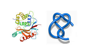 Image result for Science Math Algebra Research Groups