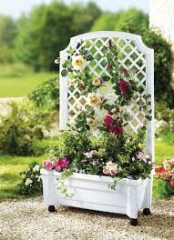 Check spelling or type a new query. Pflanzkubel Blumentopfe Und Blumenkasten Kaufen Brigitte Hachenburg