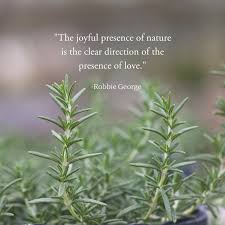True Love Medicinal Plants Nature Plants