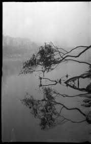 Check spelling or type a new query. Svema Film And Foto 65 Shooting Expired Film From 1989 Gavin Lyons Photography