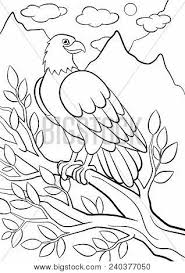 This drawing was made at internet users' disposal on 07 february 2106. Coloring Pages Wild Vector Photo Free Trial Bigstock