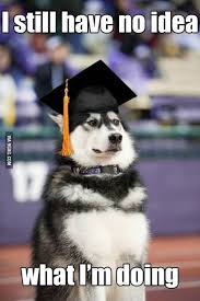 My Sister Graduates From University Tomorrow She Sent Me This Http Makecoolmeme Com My Sister Graduates Funny Meme Pictures Funny Animals Funny Pictures