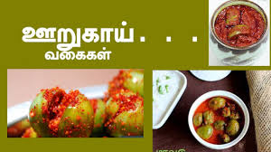 Jan 21, 2021 · the company was incorporated in the year 1995 by mr a.d. List Of Indian Pickle Pickle Manufacturers In Tamilnadu à®Šà®± à®• à®¯ Youtube