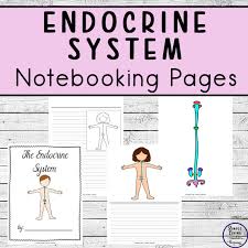 Each science coloring and activity sheet has a picture for students to color, informational text about the science concept from t. Endocrine System Notebooking Pages Simple Living Creative Learning