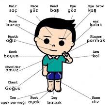 Turkish Lessons Panosundaki Pin