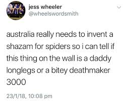 I Know Twitter Screenshots Aren T Memes But Seriously Guys As A True Blue Austrian We Need This Now Australia Funny Best Funny Photos Funny