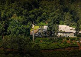 British Colonial Bungalow - Whitetrip