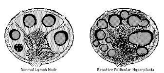 Pathology Thread