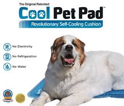 A pet heating pad is the perfect way to guarantee there's a cozy place for them, whatever the weather. Cool Pet Pad The Green Pet Shop