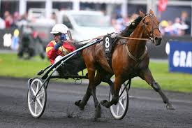 Chevaux âgés de 4 ans (c), gains réels majorés de 30. Grand Prix D Amerique 2019 Les Partants Eventuels Apres Le Criterium Continental Et Le Prix Tenor De Baune De Dimanche Et Avant Le Prix De Bourgogne
