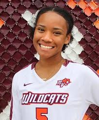 All-Area volleyball capsules