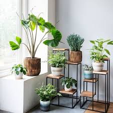 Pflanzen Geben Ihnen So Viel Mehr Als Nur Sauerstoff Und Saubere Luft Zorgen Sie Kummern Sich Plant Decor Indoor House Plants Indoor House Plants Decor
