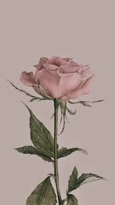 fondos de pantalla iphone fondos de pantalla fondos de pantalla esteticos flores para dibujar