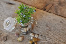 We did not find results for: 25 Ways To Reuse An Empty Glass Jar The Waste Management Recycling Blog