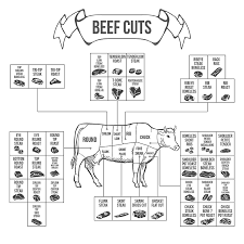 8 primal cuts of beef explained names descriptions