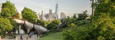 Image result for Eragrostis botryodes