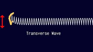 Check spelling or type a new query. Longitudinal And Transverse Waves Youtube